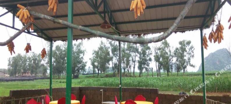 普者黑原始部落·荷篱茅舍图片