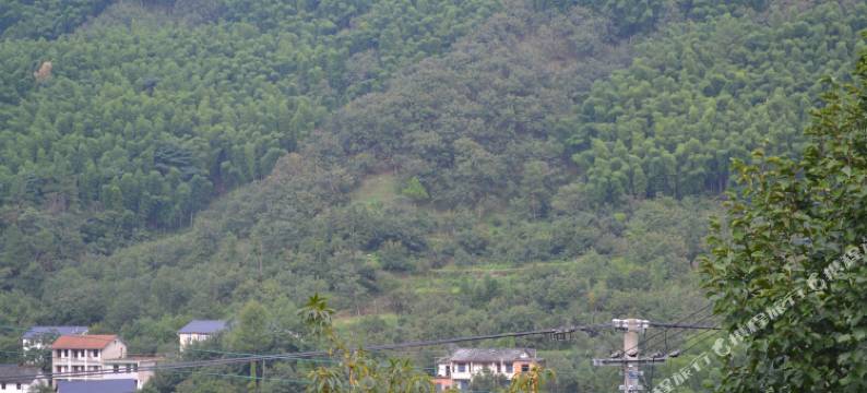 杭州桃花溪民宿图片