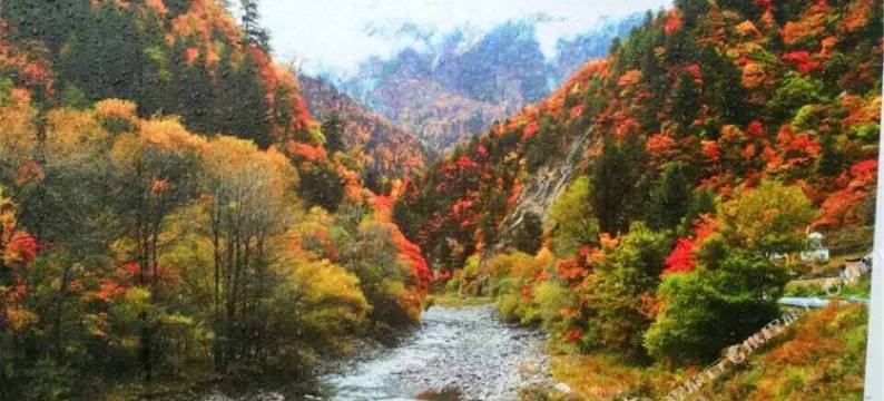 黑水周瑞客栈图片