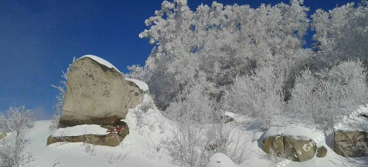 雪乡红松林酒店图片