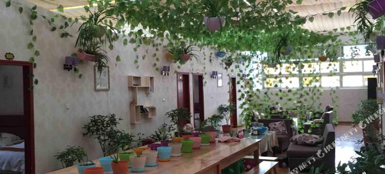 林芝心月宾馆图片