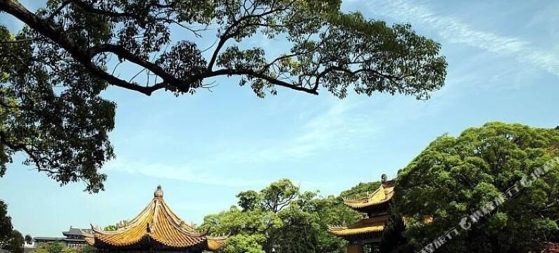 普陀山佛之缘农家客栈(法雨寺店)图片