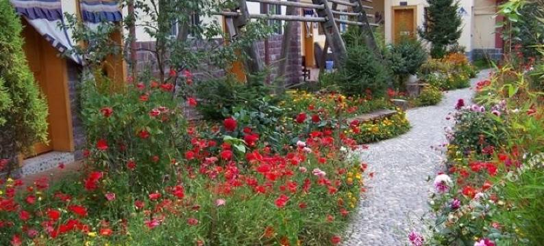 香格里拉国际青年旅舍图片