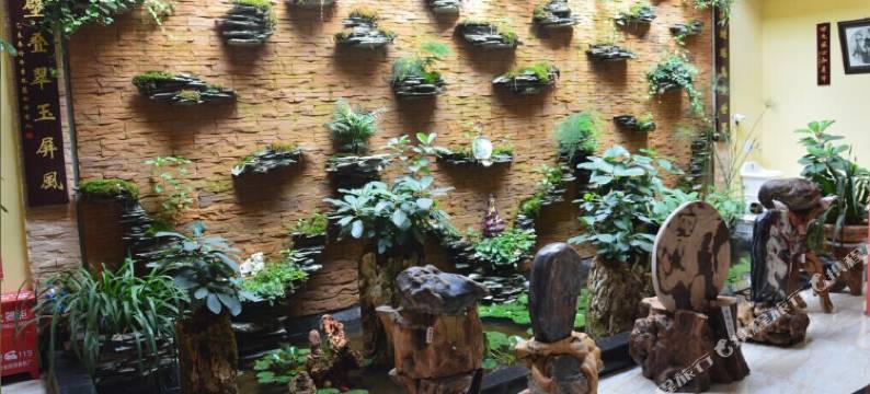 武定泛亚商务酒店图片