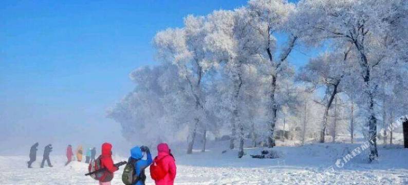 雾凇岛张羽客栈图片