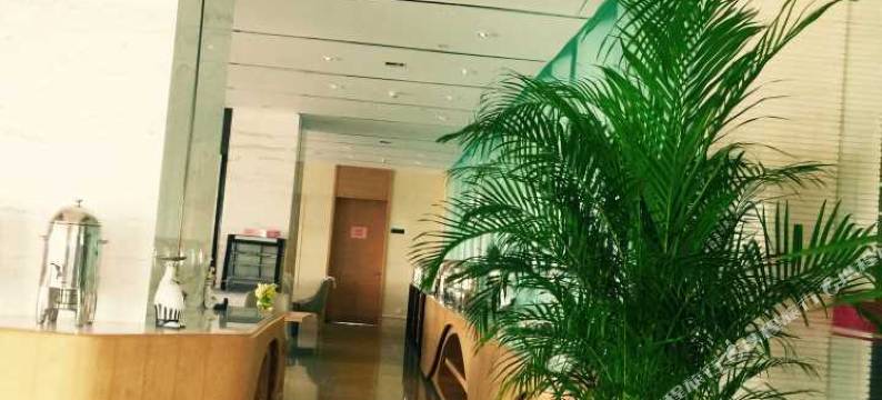 青岛中联自由港湾海景度假公寓图片