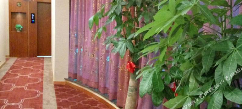 石城状元红大酒店图片