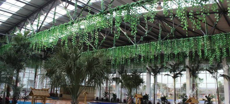 宜阳灵山莲花温泉度假酒店图片