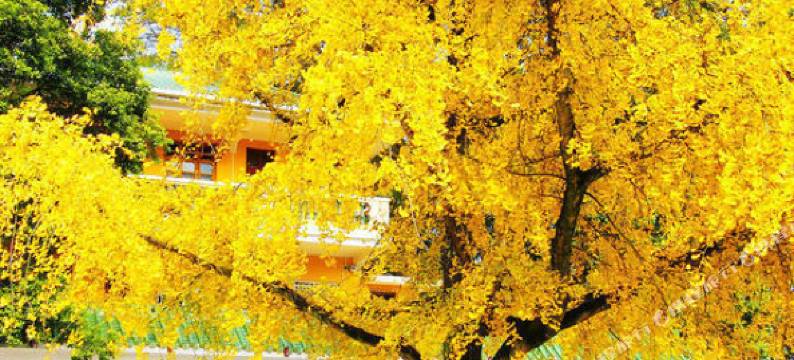 南雄旺兴酒楼图片