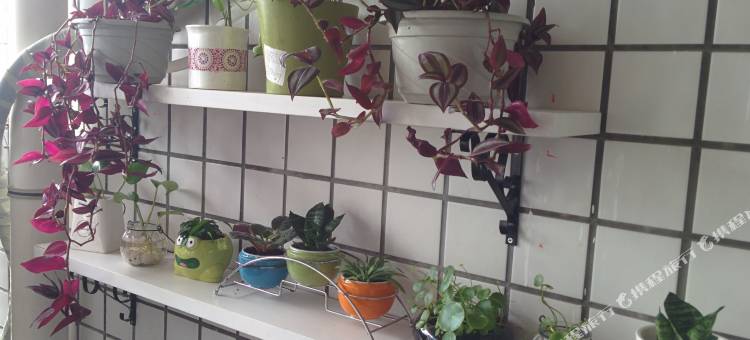 长颈鹿青年旅舍(深圳会展中心店)图片