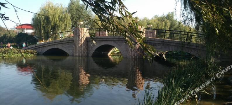 青岛永擎旅馆图片