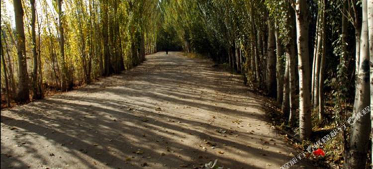 民勤红萝卜商务宾馆图片