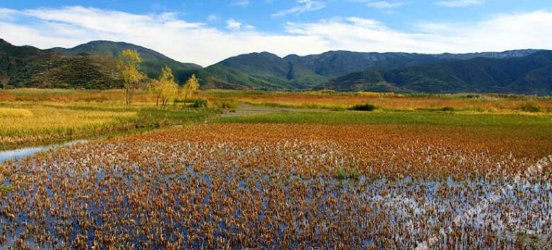 泸沽湖草海原色民居图片