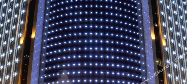 延安龙飞盛世国际酒店图片