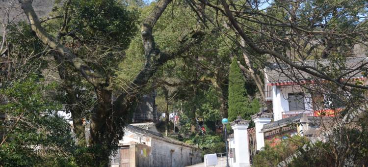 普陀山佛之缘农家客栈(法雨寺店)图片