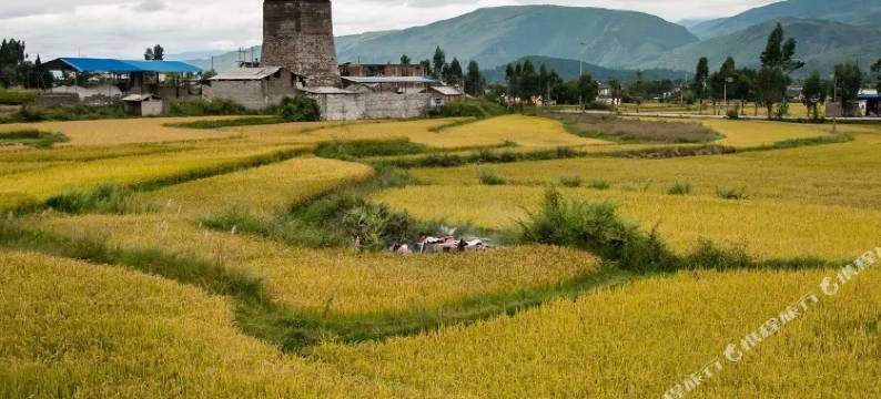 大理洱源野草温泉民宿图片