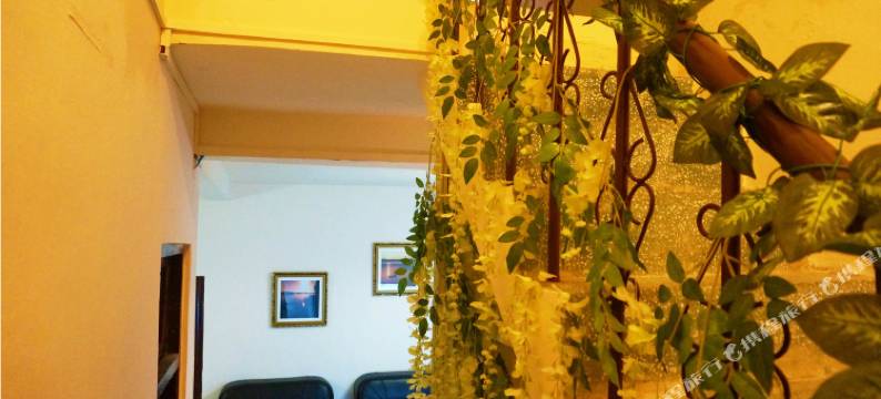 南澳六季小栈图片