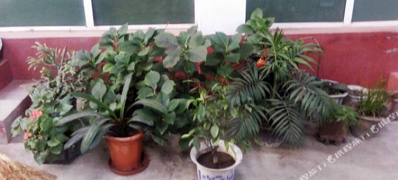 北京山华园农家院图片