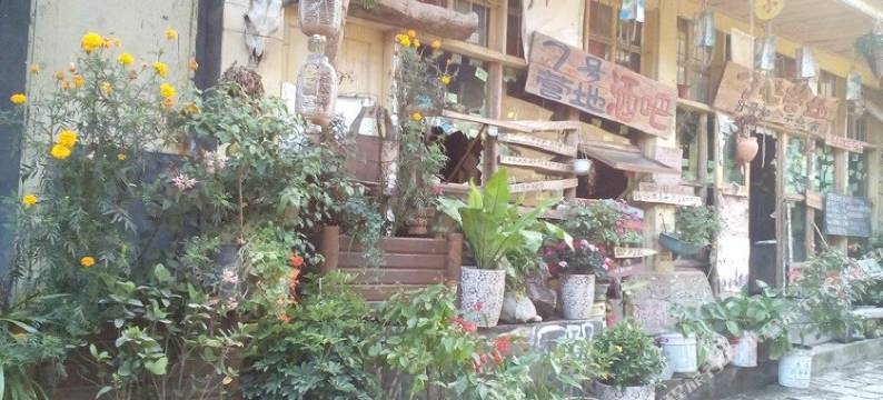 泸定鑫飞背包客栈图片