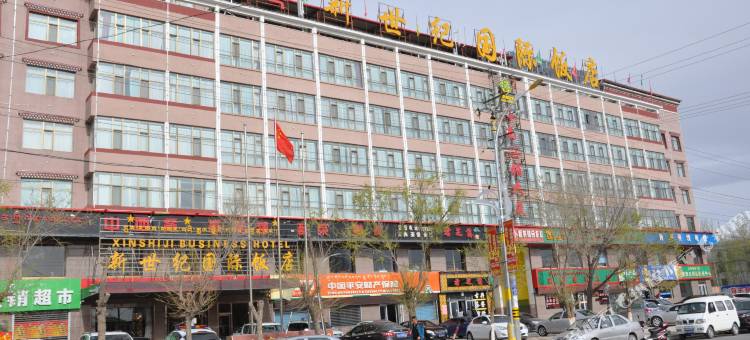 共和恒德新世纪国际饭店(青海湖北大街店)图片