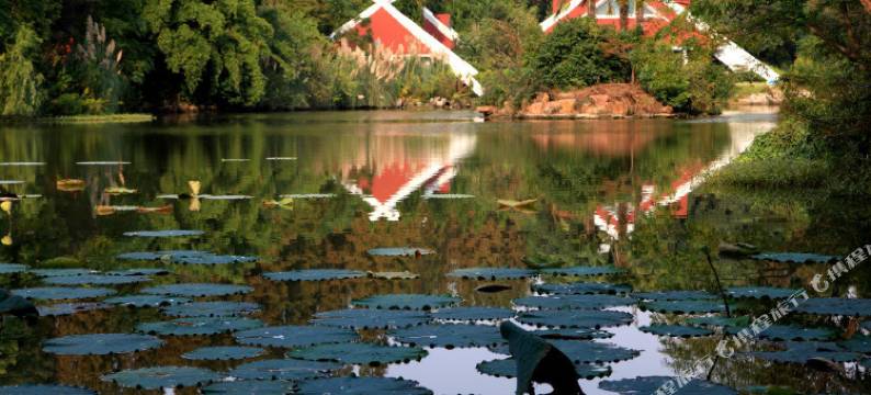 上海深宅小院宾馆图片