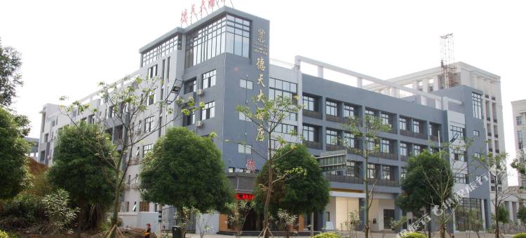 崇左德天大酒店图片