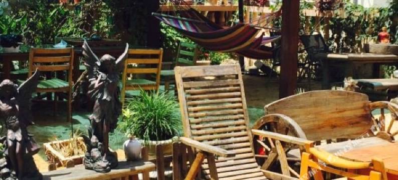 深圳官湖角洲海轩民宿图片