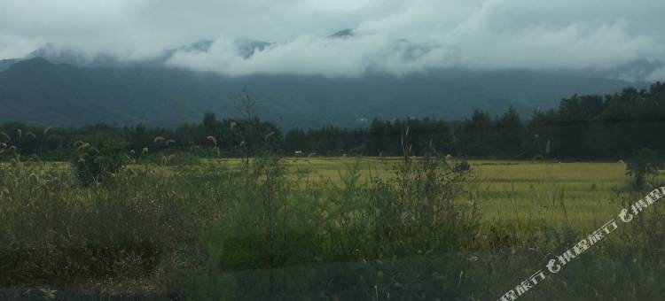 黟县徽商缘客栈图片