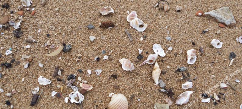 平潭海岛石厝民宿图片