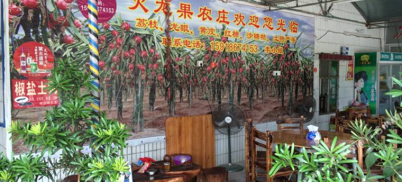 广州火龙果农庄图片