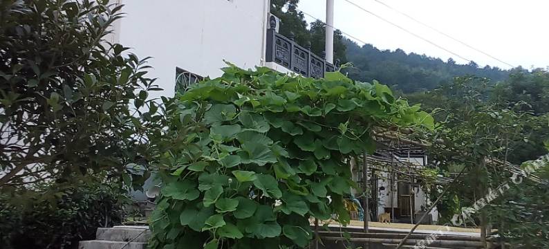 黔县古岭头农家乐图片