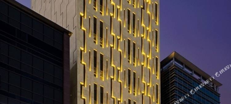 设计师林拥军江南尊贵酒店(Hotel the Designers LYJ Gangnam Premier)图片