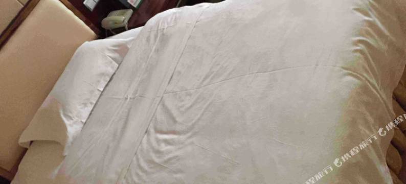 洞口瑞天大酒店图片