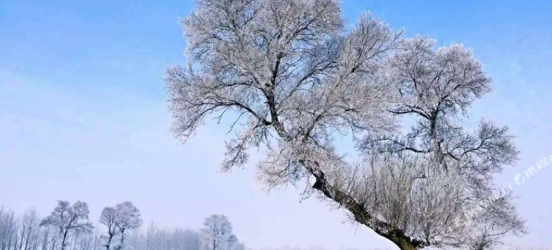 雾凇岛老兵客栈图片