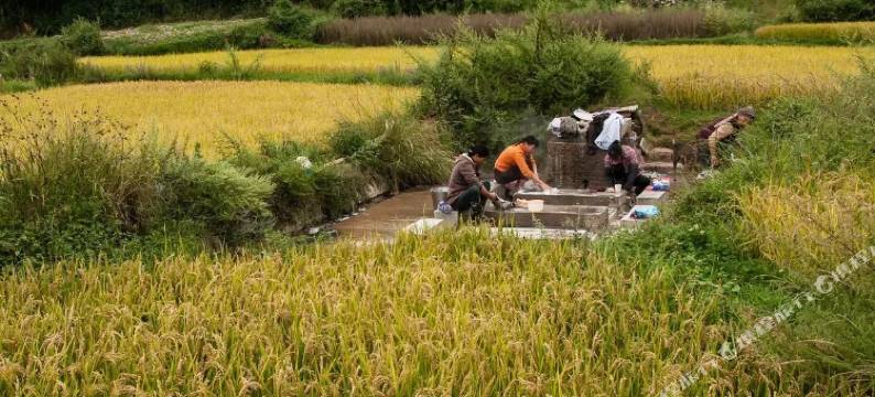 大理洱源野草温泉民宿图片