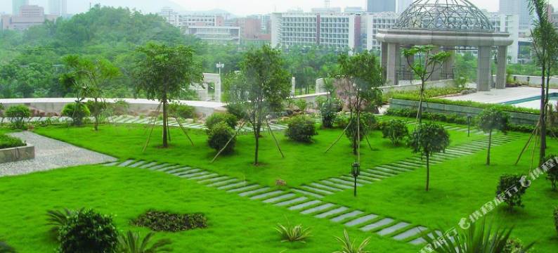 江门丽宫国际酒店图片