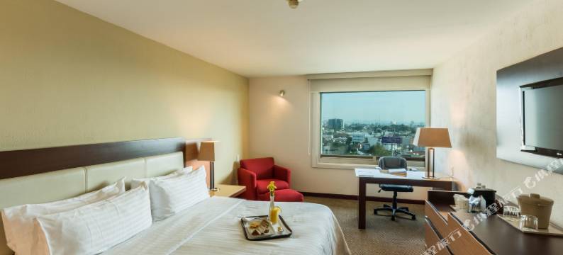 Holiday Inn 瓜达拉哈拉(Holiday Inn GUADALAJARA SELECT by IHG)图片