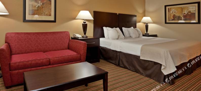 Holiday Inn 兰伯顿 by IHG(Holiday Inn LUMBERTON NORTH - I-95 by IHG)图片