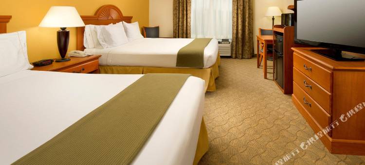 智选假日套房酒店勒诺城(诺克斯维尔区)(Holiday Inn Express & Suites Lenoir City (Knoxville Area))图片