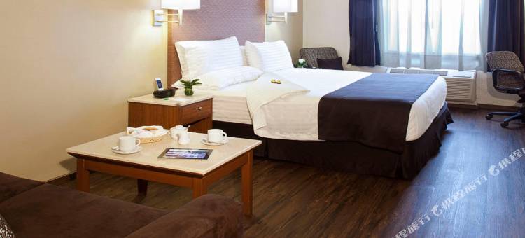 奥里扎巴假日酒店(Holiday Inn ORIZABA by IHG)图片