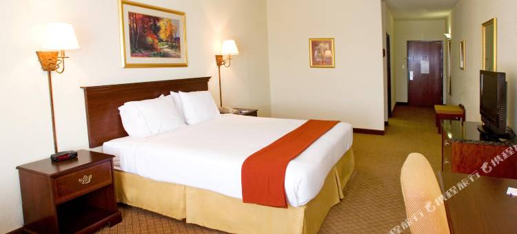智选假日套房酒店韦斯拉科(Holiday Inn Express & Suites Weslaco)图片
