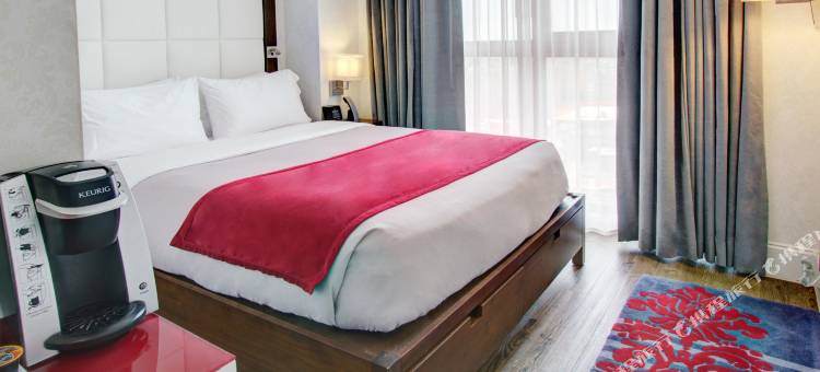 布鲁克林英迪格酒店(Hotel Indigo Brooklyn)图片