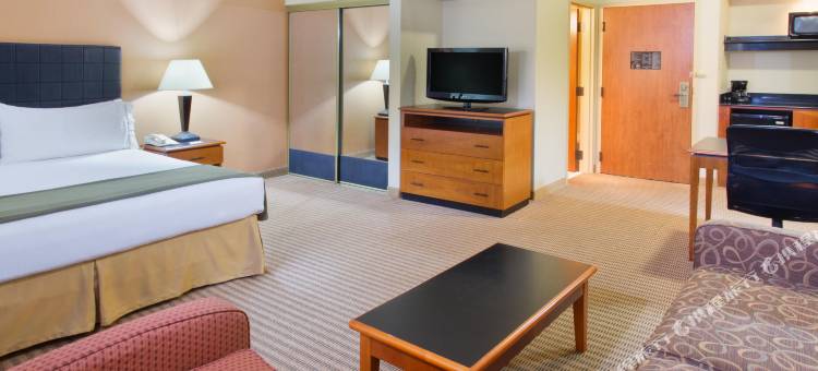 智选假日套房酒店欧文DFW机场北(Holiday Inn Express & Suites Irving DFW Airport North)图片