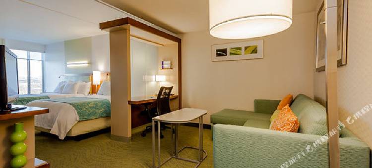 费城福吉谷/普鲁士王购物中心万豪SpringHill酒店(SpringHill Suites Philadelphia Valley Forge/King of Prussia)图片