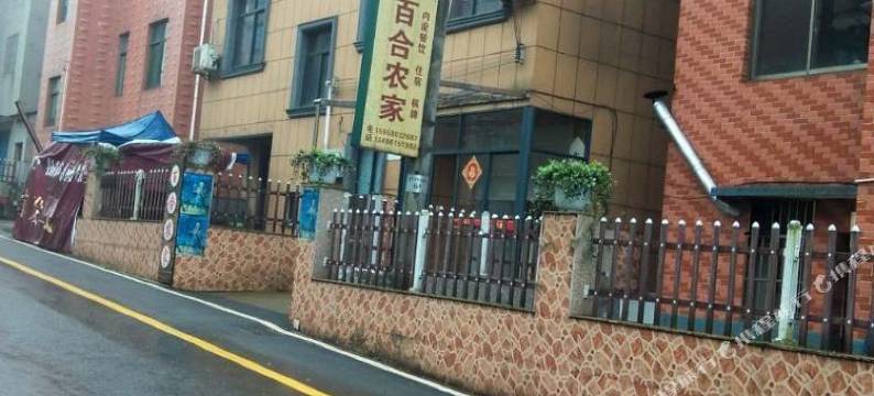 大奇山百合农家图片