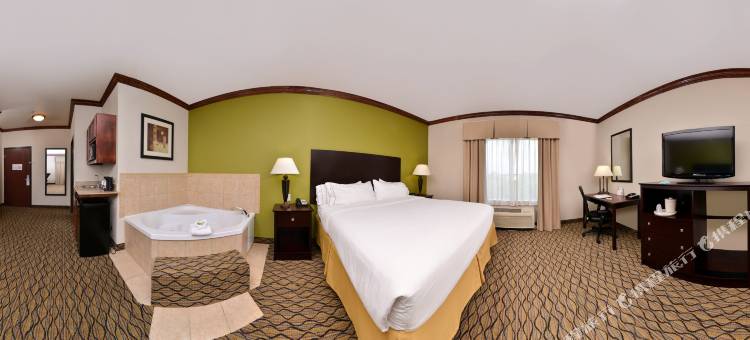智选假日套房酒店谢尔曼HWY 75(Holiday Inn Express & Suites Sherman Hwy 75)图片