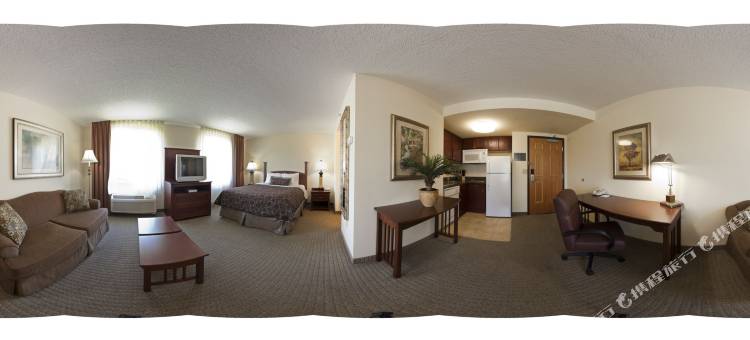 Staybridge Suites Tampa East- Brandon图片
