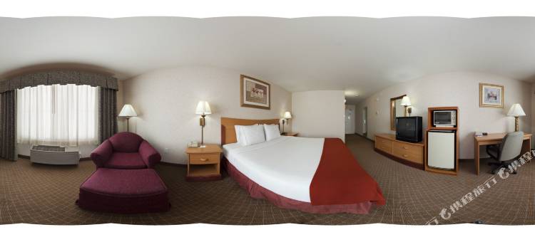 智选假日酒店及套房特雷西酒店 由 IHG 提供(Holiday Inn Express & Suites Tracy)图片