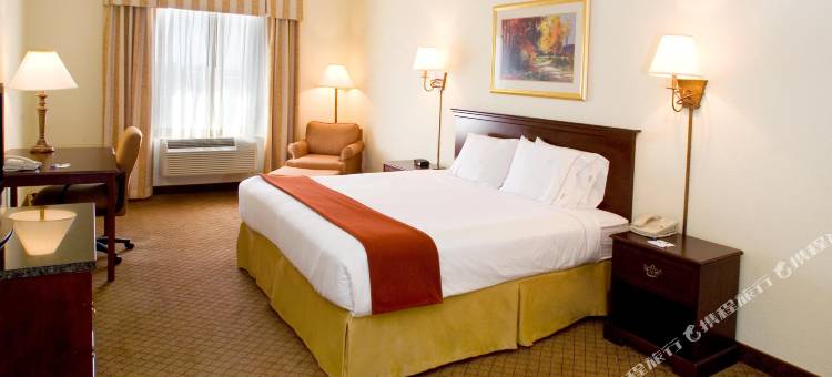智选假日套房酒店韦斯拉科(Holiday Inn Express & Suites Weslaco)图片