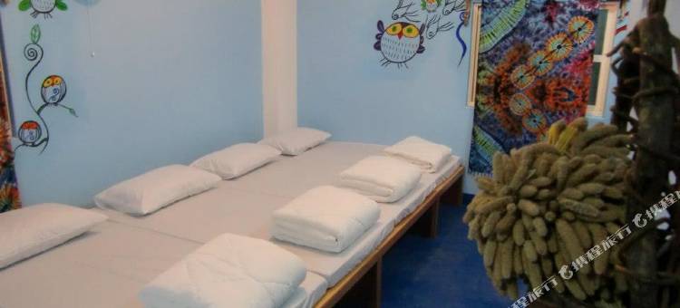 台东兰屿Yama的地瓜园图片